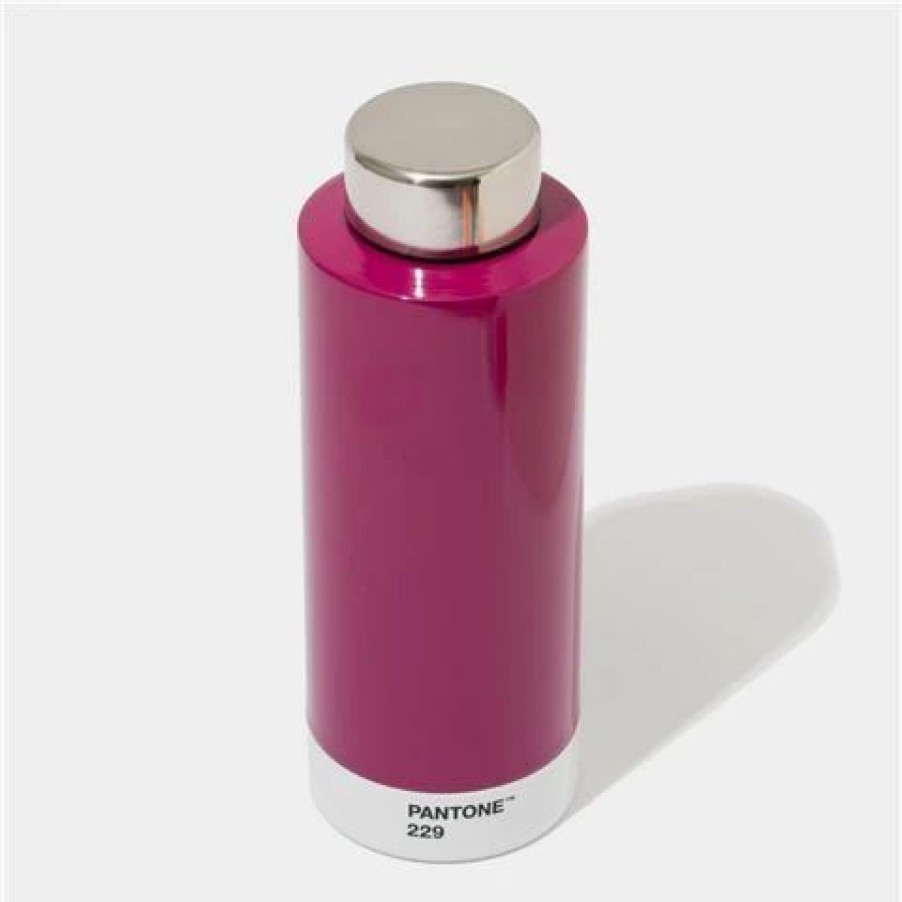 Drink Bottles * | Pantone Drinking Bottle Steel Aubergine 229